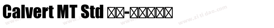 Calvert MT Std 粗体字体转换